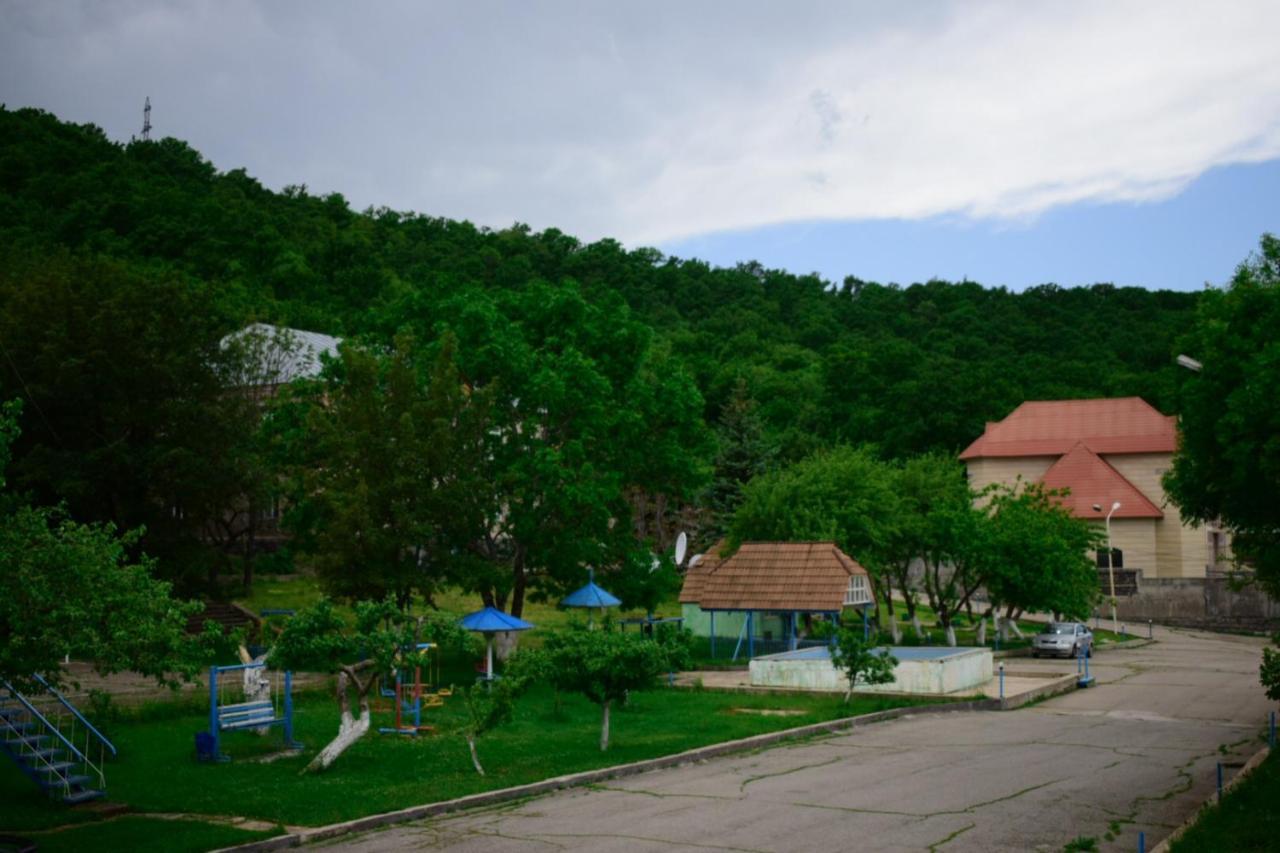 Aliq Hotel Tsaghkadzor Dış mekan fotoğraf